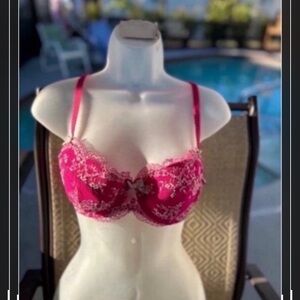The Limited Pink Lace Underwire Bra